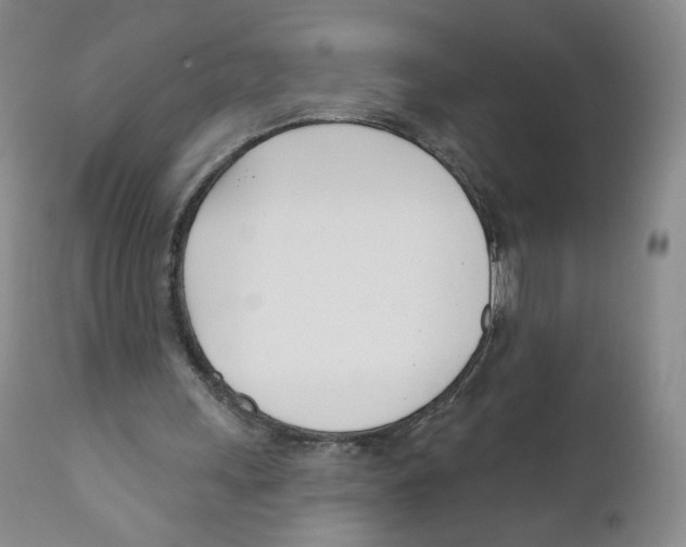 X0000110900243200907161559