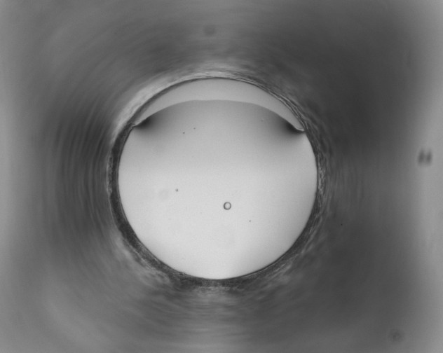 X0000110900244200907161559