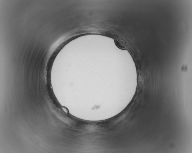 X0000110900246200907161559