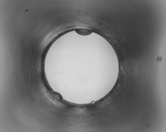 X0000110900247200907161559