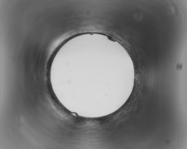 X0000110900248200907161559