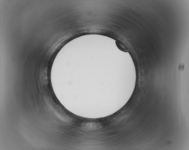 X0000110900251200907161559