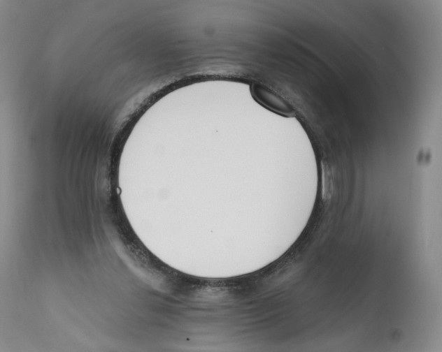 X0000110900252200907161559