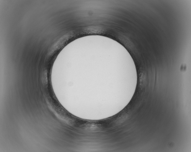 X0000110900254200907161559