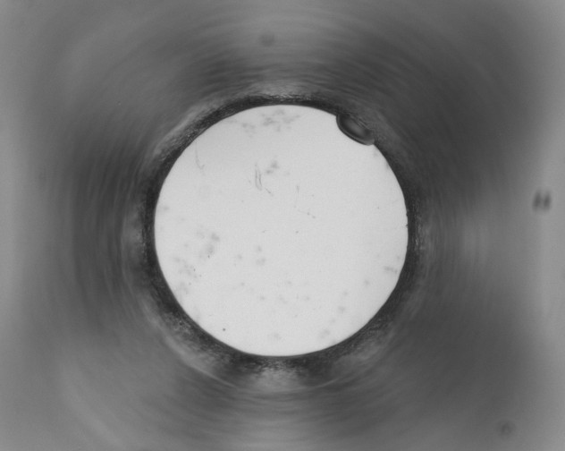 X0000110900256200907161559