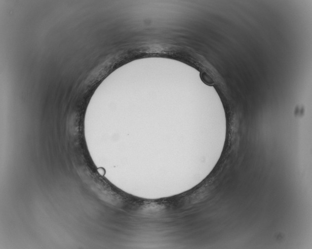 X0000110900257200907161559