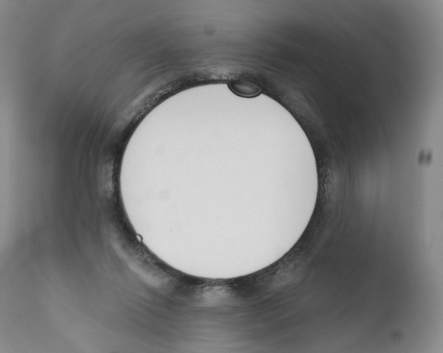 X0000110900262200907161559