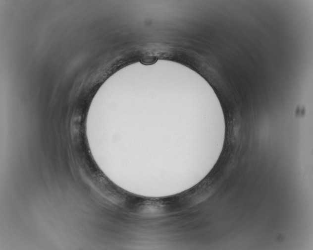 X0000110900263200907161559