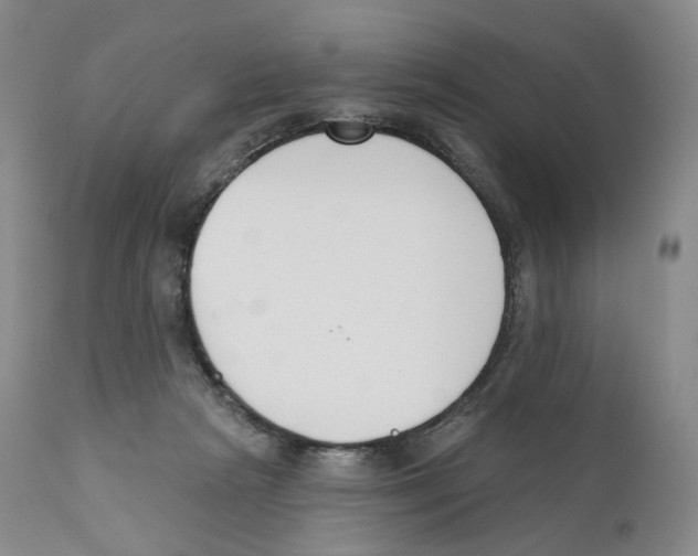 X0000110900265200907161559