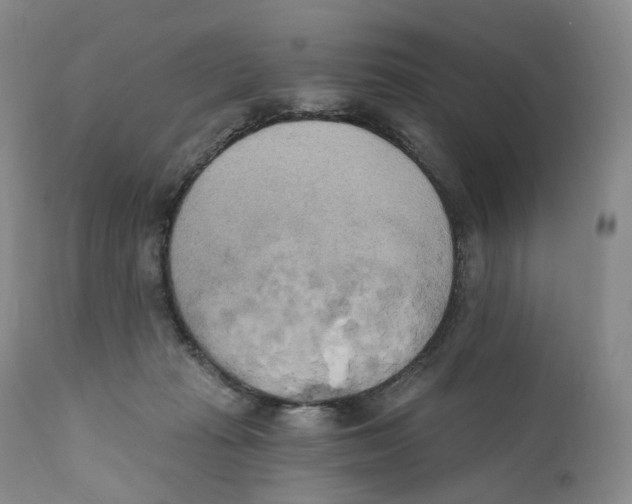 X0000110900269200907161559