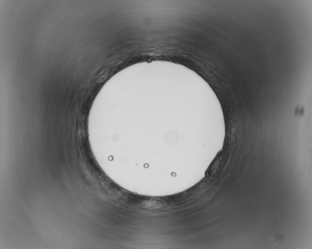 X0000110900272200907161559