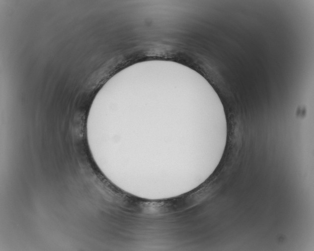 X0000110900273200907161559