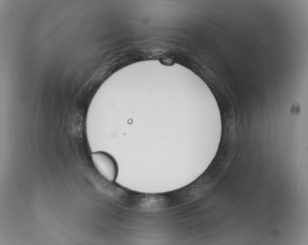 X0000110900274200907161559