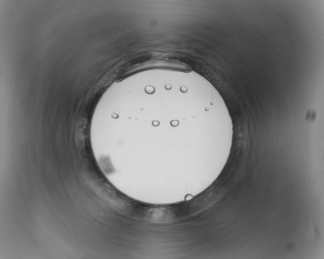 X0000110900275200907161559