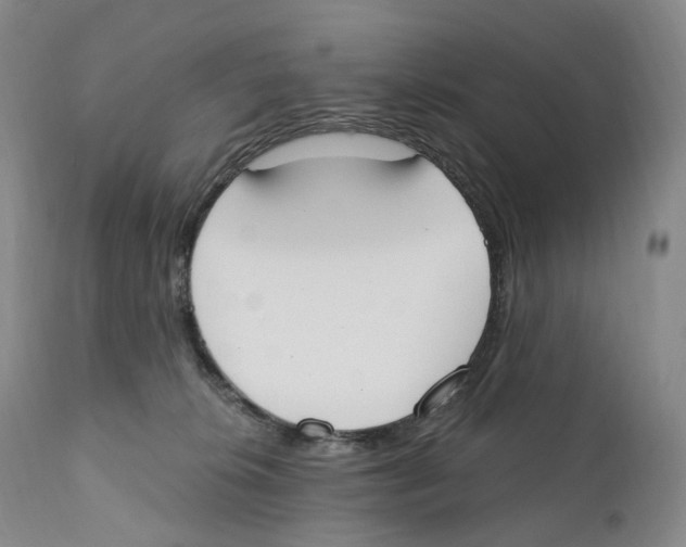 X0000110900276200907161559