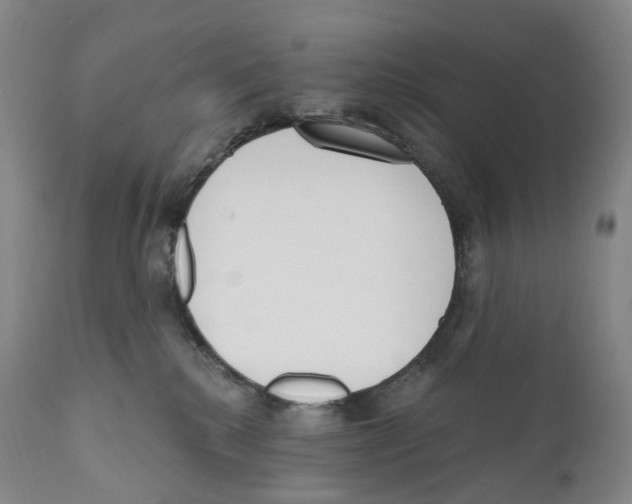 X0000110900280200907161559