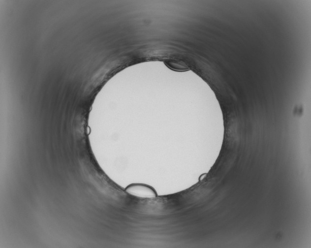 X0000110900282200907161559