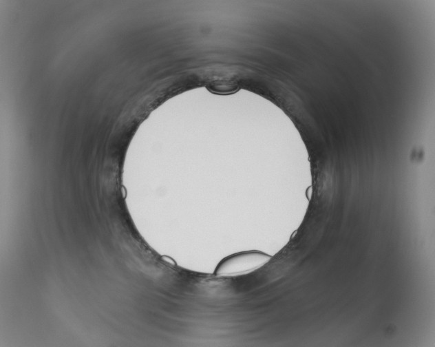 X0000110900283200907161559