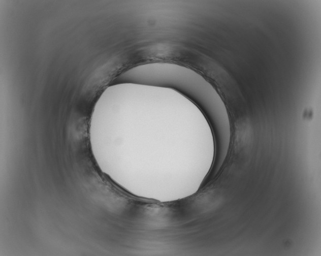 X0000110900284200907161559