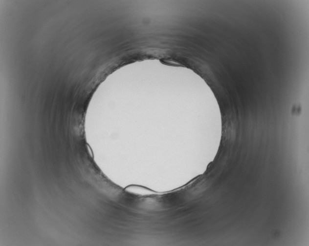 X0000110900285200907161559