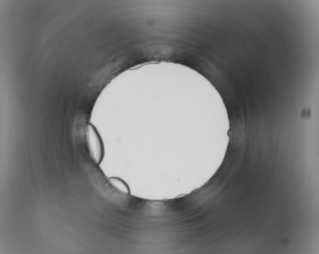 X0000110900287200907161559