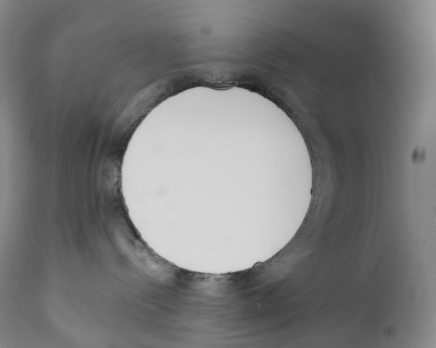 X0000110900288200907161559