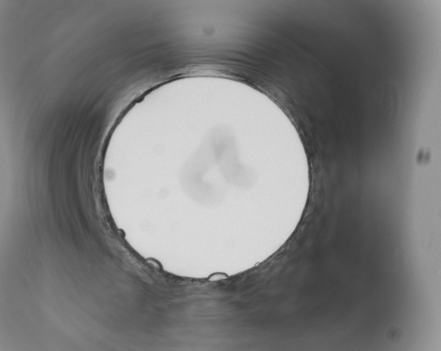 X0000110900289200907161559