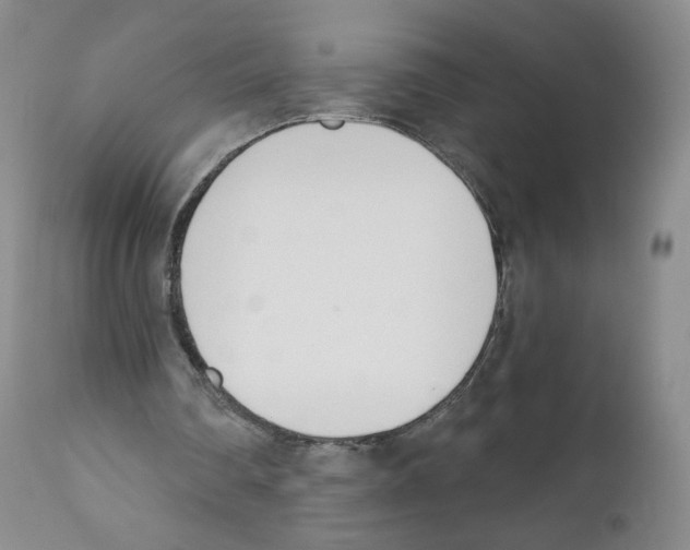 X0000110900290200907161559