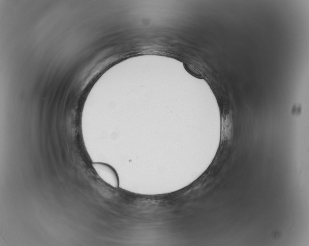 X0000110900291200907161559