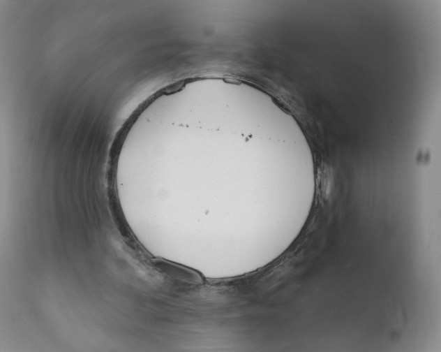 X0000110900292200907161559