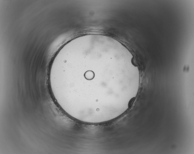 X0000110900293200907161559