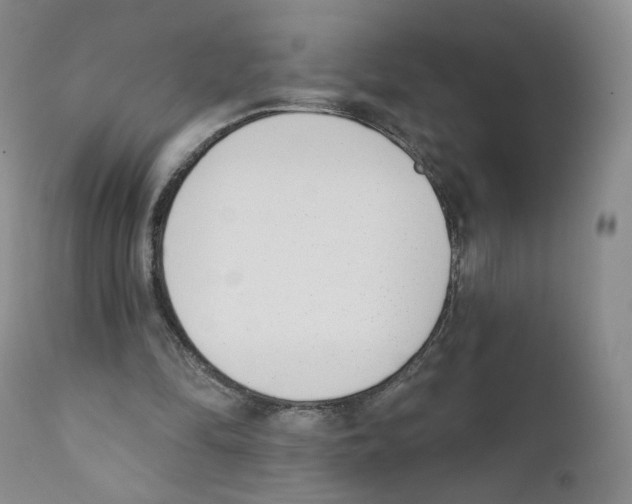 X0000110900294200907161559