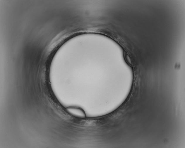 X0000110900295200907161558