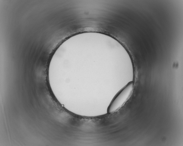 X0000110900297200907161558