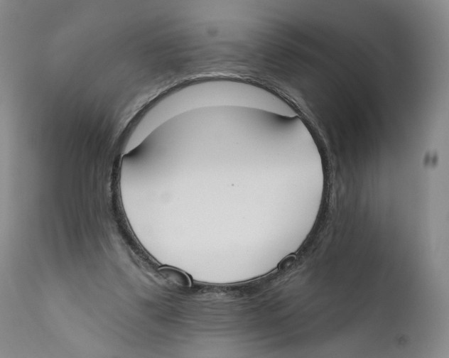 X0000110900299200907161558