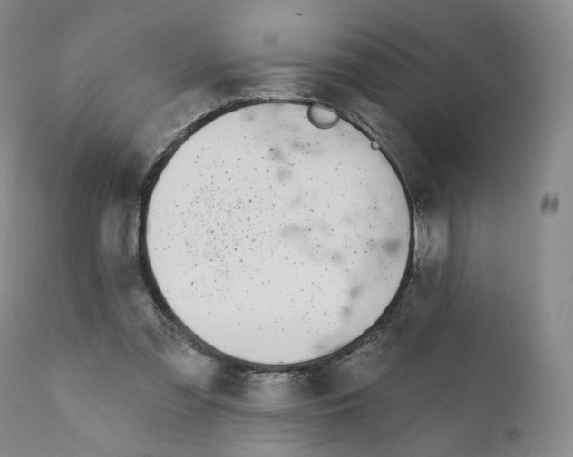 X0000110900301200907161558