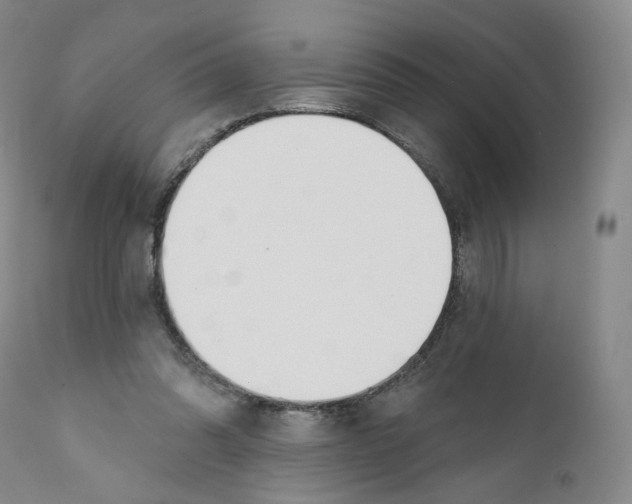 X0000110900302200907161558