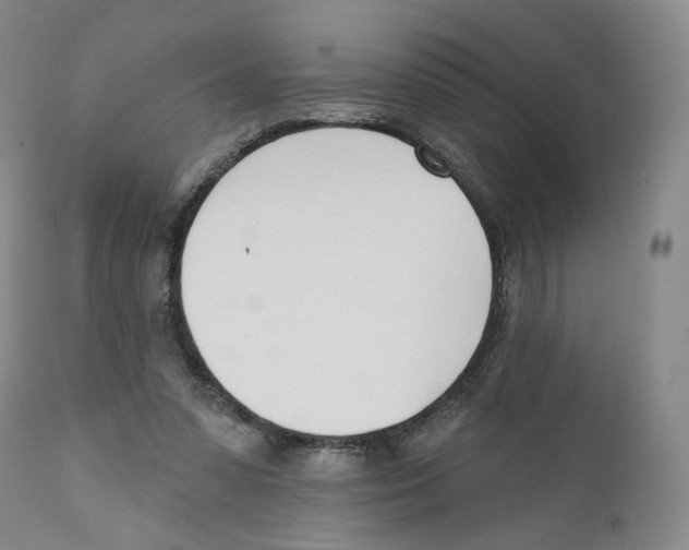 X0000110900303200907161558