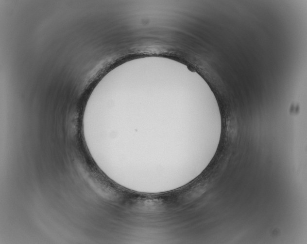 X0000110900304200907161558