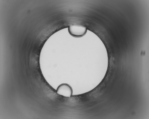 X0000110900305200907161558