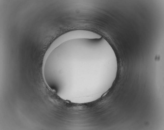 X0000110900307200907161558