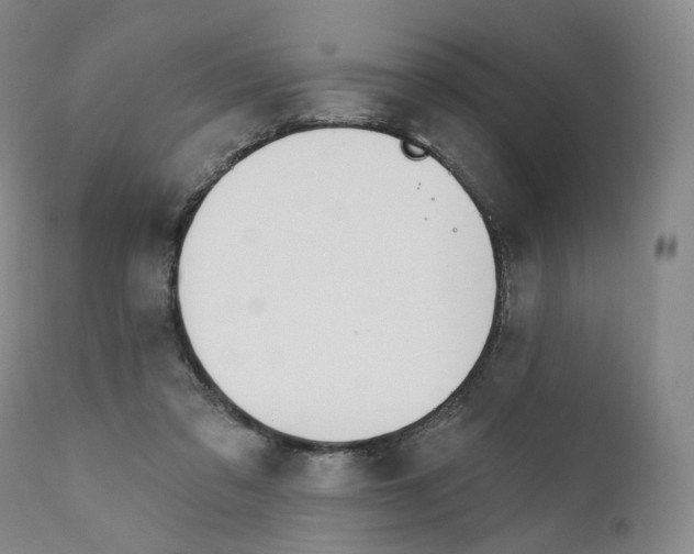 X0000110900309200907161558