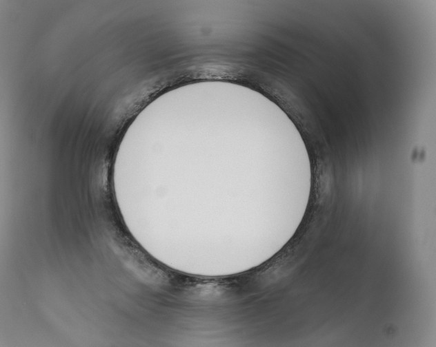 X0000110900310200907161558