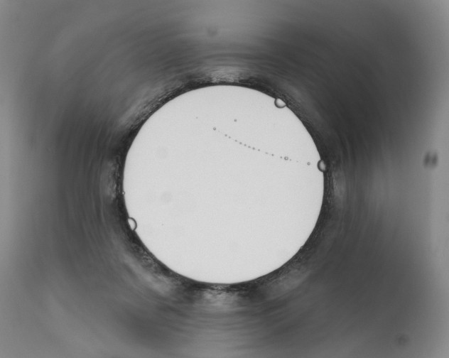 X0000110900311200907161558