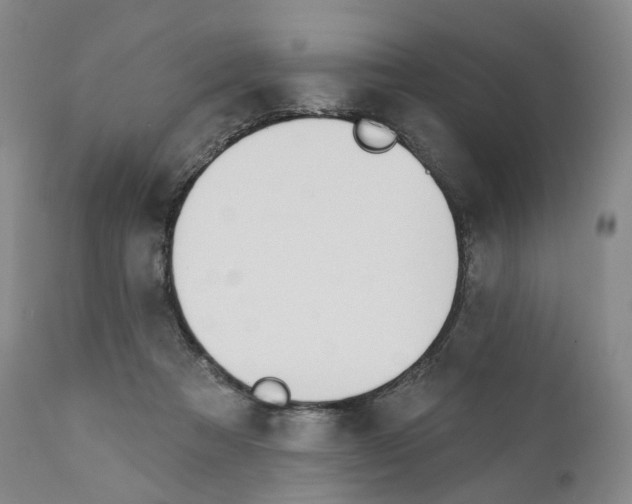 X0000110900313200907161558