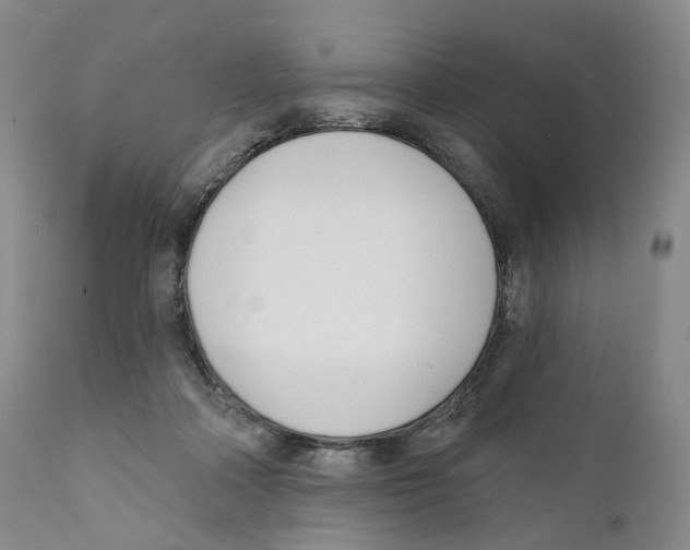 X0000110900314200907161558