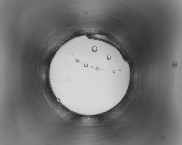 X0000110900315200907161558