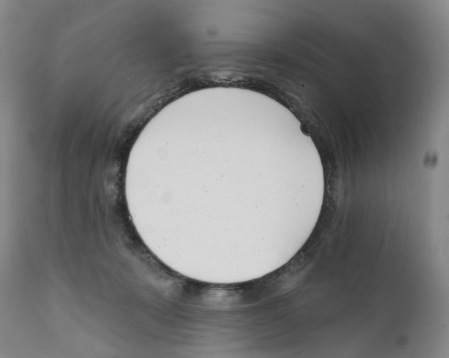 X0000110900319200907161558