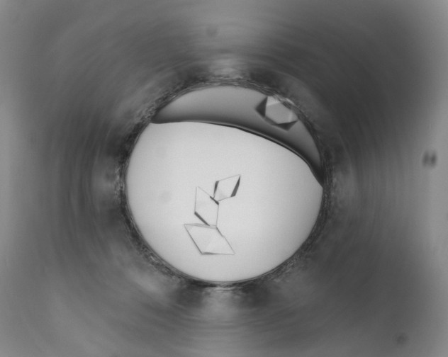 X0000110900320200907161558