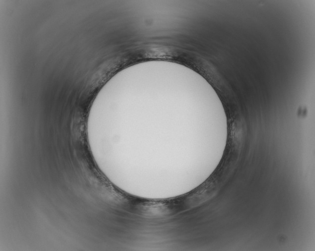 X0000110900322200907161558